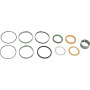 Kit CNH 1543274C1