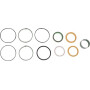 Kit CNH 1543274C1