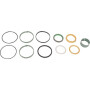 Kit CNH 1543274C1