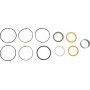 Kit CNH 1543274C1
