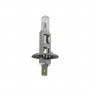 Ampoule halogène H1 UNIVERSELLE 24V - 70W
