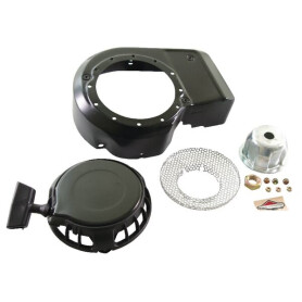 Lanceur BRIGGS ET STRATTON 499916