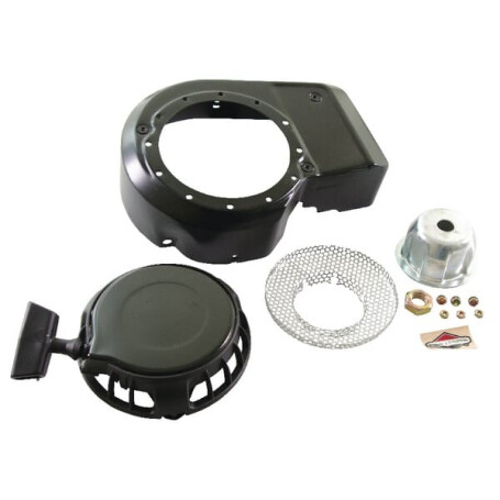 Lanceur BRIGGS ET STRATTON 499916