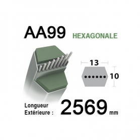 Courroie AA99 - Courroie lisse héxagonale 2569 mm