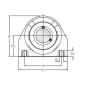 Logement de palier gamme alimentaire SKF P2BTC20MCPSS