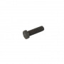 Schraube Lame 32 mm AYP 165484 - Pas links