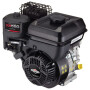 Moteur BRIGGS ET STRATTON 0831320233H5