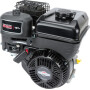 Moteur BRIGGS ET STRATTON 0831320249H5