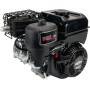 Moteur BRIGGS ET STRATTON 0831521141H5BH0001
