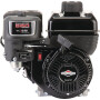 Moteur BRIGGS ET STRATTON 0831321035F1