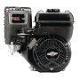 Moteur BRIGGS ET STRATTON 1062320129H5
