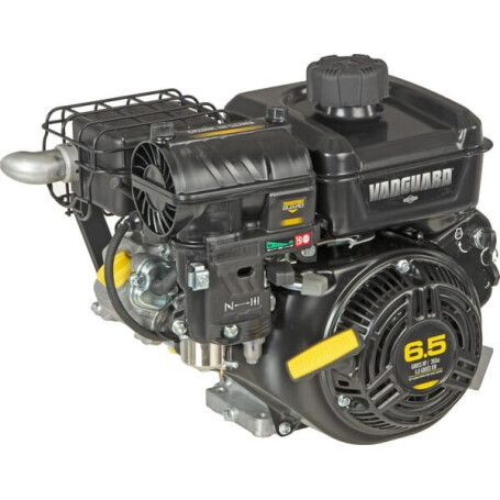 Moteur BRIGGS ET STRATTON 12V3370010F1