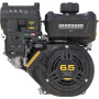 Moteur BRIGGS ET STRATTON 12V3320003F1