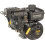 Moteur BRIGGS ET STRATTON 12V3320003F1