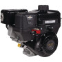 Moteur BRIGGS ET STRATTON 12V3520005F1