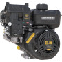Moteur BRIGGS ET STRATTON 12V3320008F1