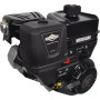 Moteur BRIGGS ET STRATTON 19L2320314F1