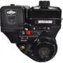 Moteur BRIGGS ET STRATTON 19L2320314F1