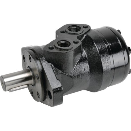 Moteur BATTIONI PAGANI 5020400035