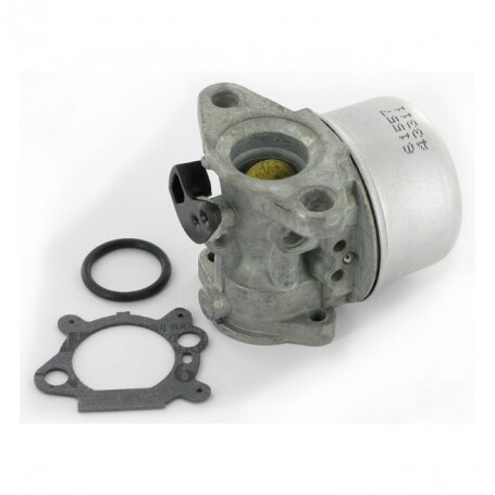 Carburateur adaptable pour Briggs Stratton remplace 799868