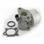 Carburateur adaptable pour Briggs Stratton remplace 799868
