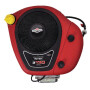 Moteur BRIGGS ET STRATTON 21R8770014B5