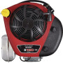 Moteur BRIGGS ET STRATTON 21R8770015B5