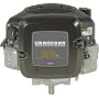 Moteur BRIGGS ET STRATTON 3867770147G1