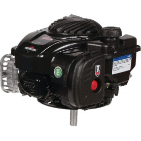 Moteur BRIGGS ET STRATTON 09P6020015H5