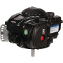 Moteur BRIGGS ET STRATTON 09P6020015H5