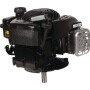 Moteur BRIGGS ET STRATTON 09P6020015H5