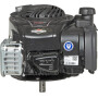 Moteur BRIGGS ET STRATTON 09P6020014H5