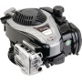 Moteur BRIGGS ET STRATTON 09P7020061H1