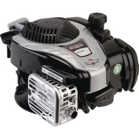 Moteur BRIGGS ET STRATTON 09P7020060H5