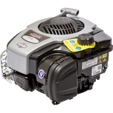 Moteur BRIGGS ET STRATTON 093J020069H5