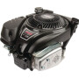 Moteur BRIGGS ET STRATTON 1006025025H5