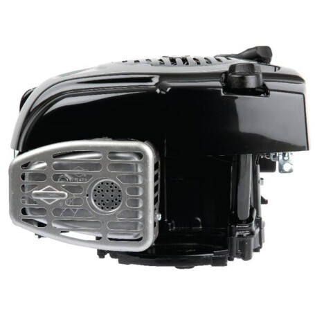 Moteur BRIGGS ET STRATTON 1006020177H5