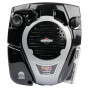 Moteur BRIGGS ET STRATTON 1006020177H5