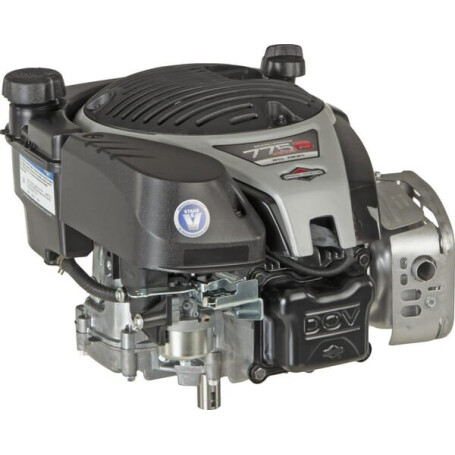 Moteur BRIGGS ET STRATTON 1006050039H5