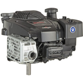 Moteur BRIGGS ET STRATTON 123P020014H5