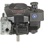 Moteur BRIGGS ET STRATTON 123P020014H5