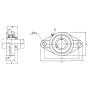 Palier SKF YUCFL206HSKF