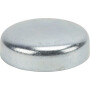 Pastille anti-gel LOMBARDINI 8990022
