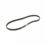 Courroie POLY-V F8PJ608 - 608mm