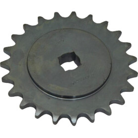 Pignon GASPARDO G16630410R