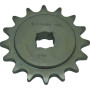 Pignon GASPARDO G16630400R