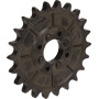 Pignon GASPARDO G66248167R