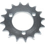 Pignon KONGSKILDE 41651658100