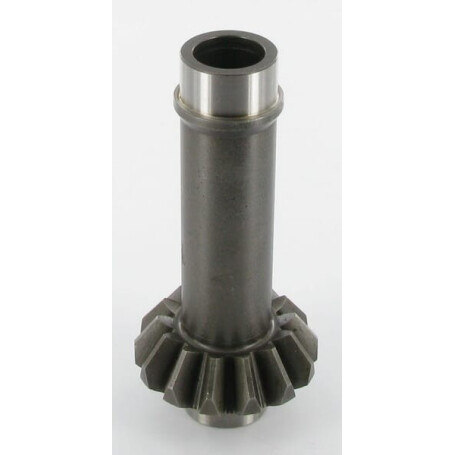 Pignon LELY 4122002880