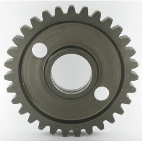Pignon MASCHIO M66100302R